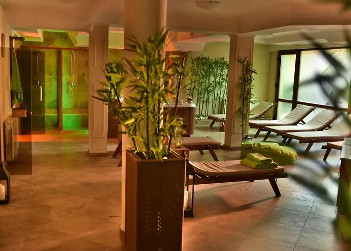 Mountain Boutique Family Hotel 3*